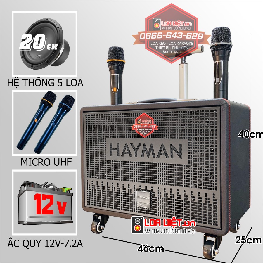 Loa xách tay HAYMAN X8-8 Bass 20